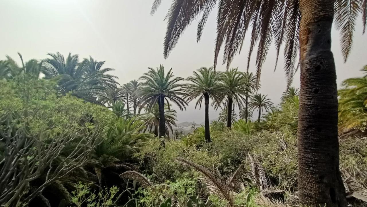 Alquilaencanarias Casa La Playa La Gomera Alojera Exterior foto